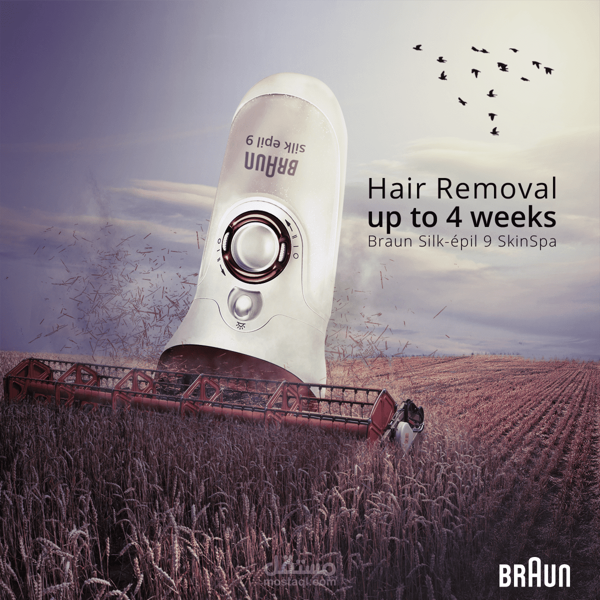 Socialist - Students Work