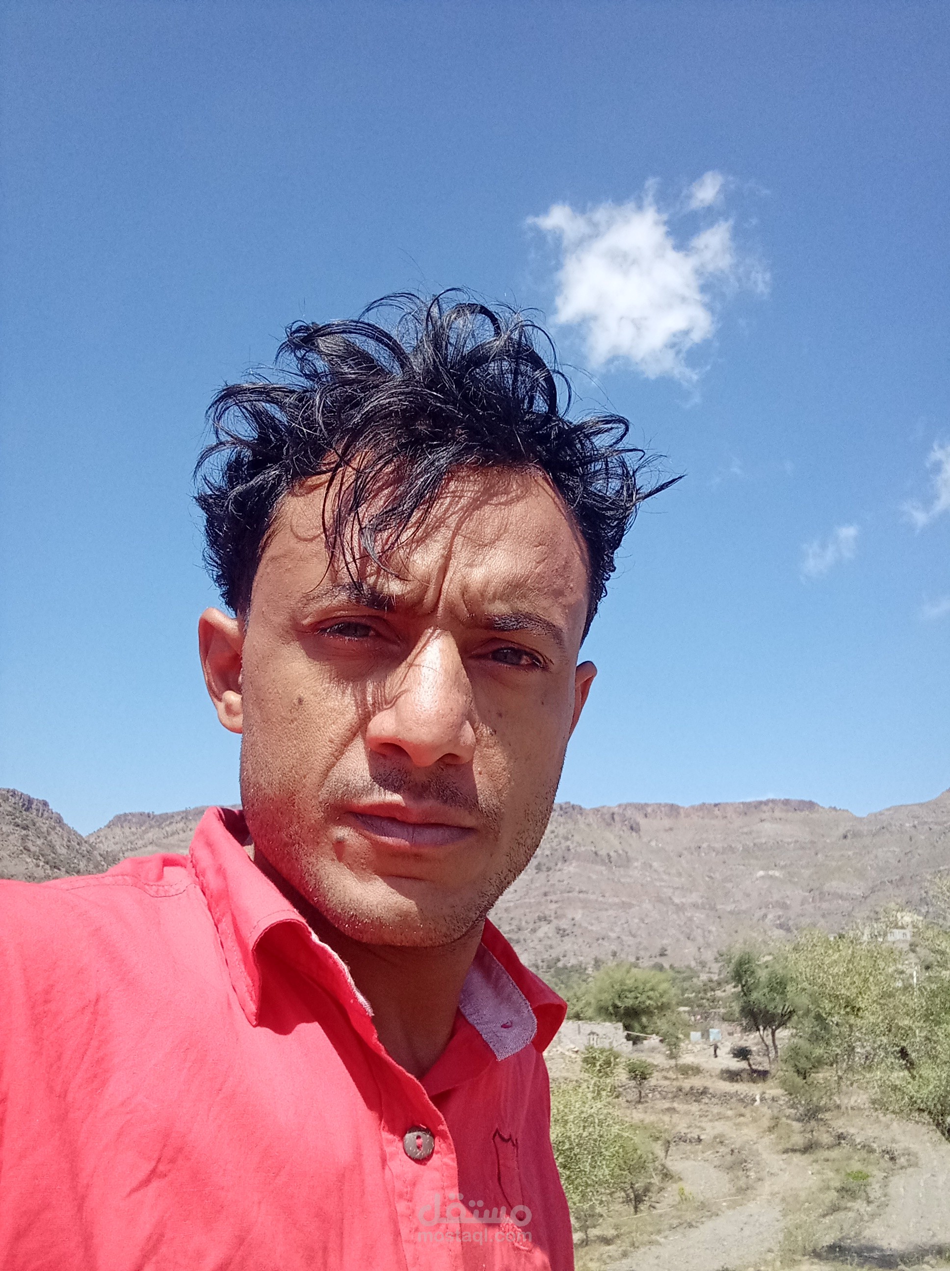 الشباب العربي الواقع والطموحات، ريادة الأعمال ، المنشآت الصغيرة ، القوة التركية الناعمة
