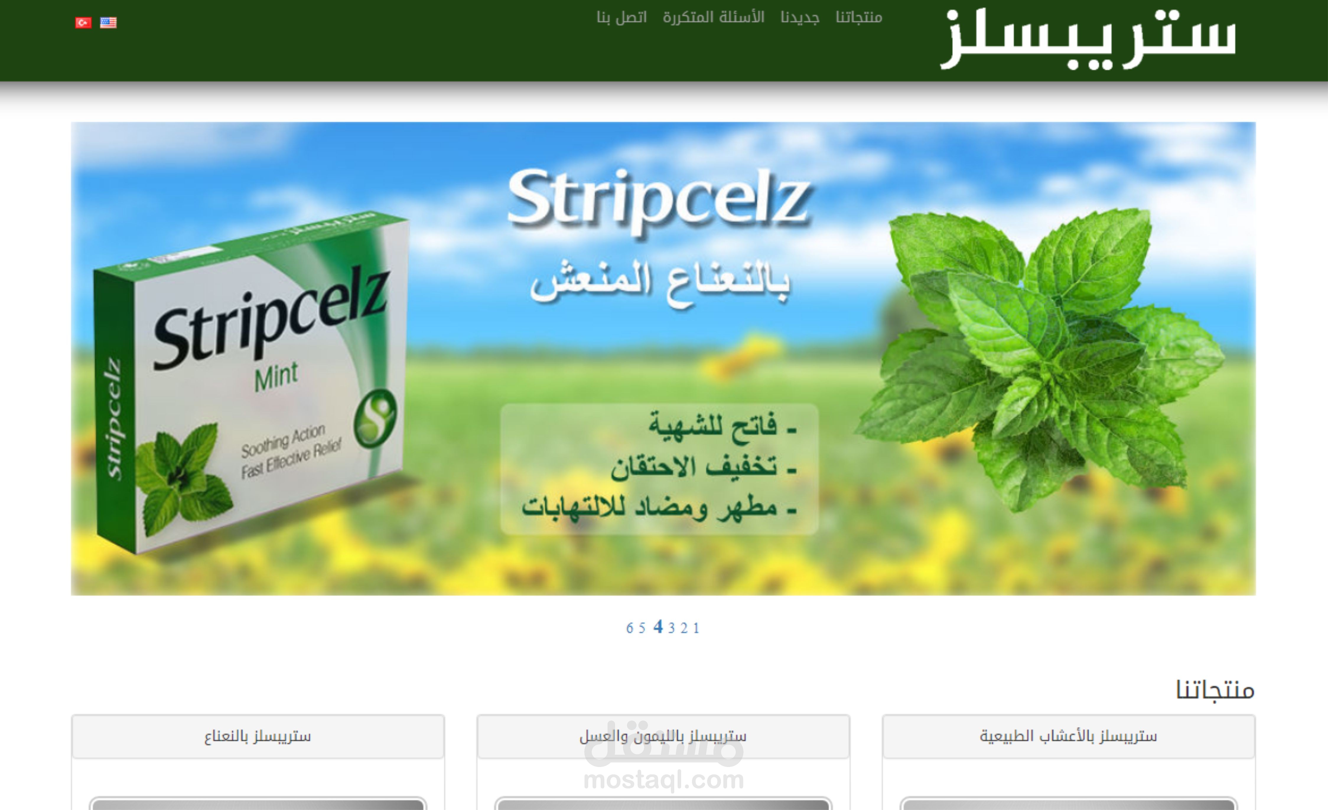 موقع شركة ستربسلز