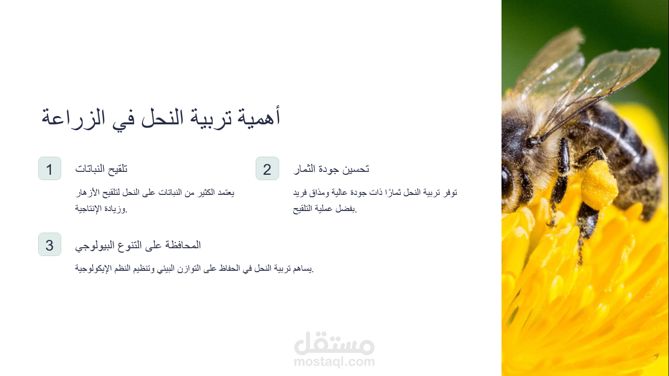 تربية النحل