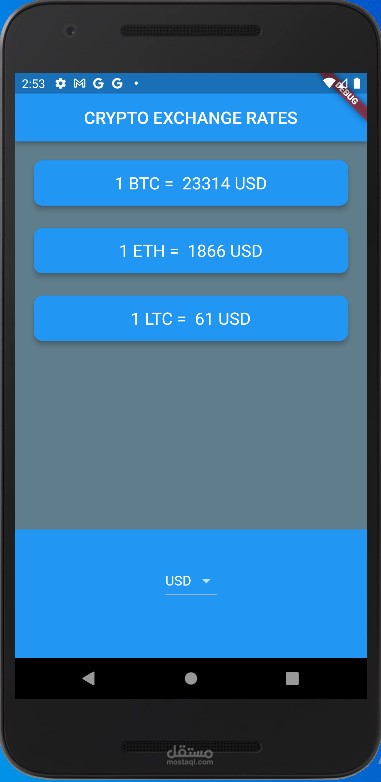 تطبيق تحويل العملات الرقمية إلى العملات النقدية و ربطه بـAPI (عن طريق الفلاتر و الدارت)