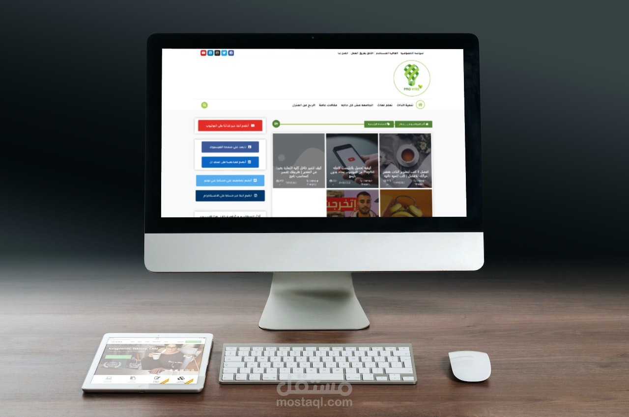 مدونة prowise1  مبني على وردبريس (WordPress)