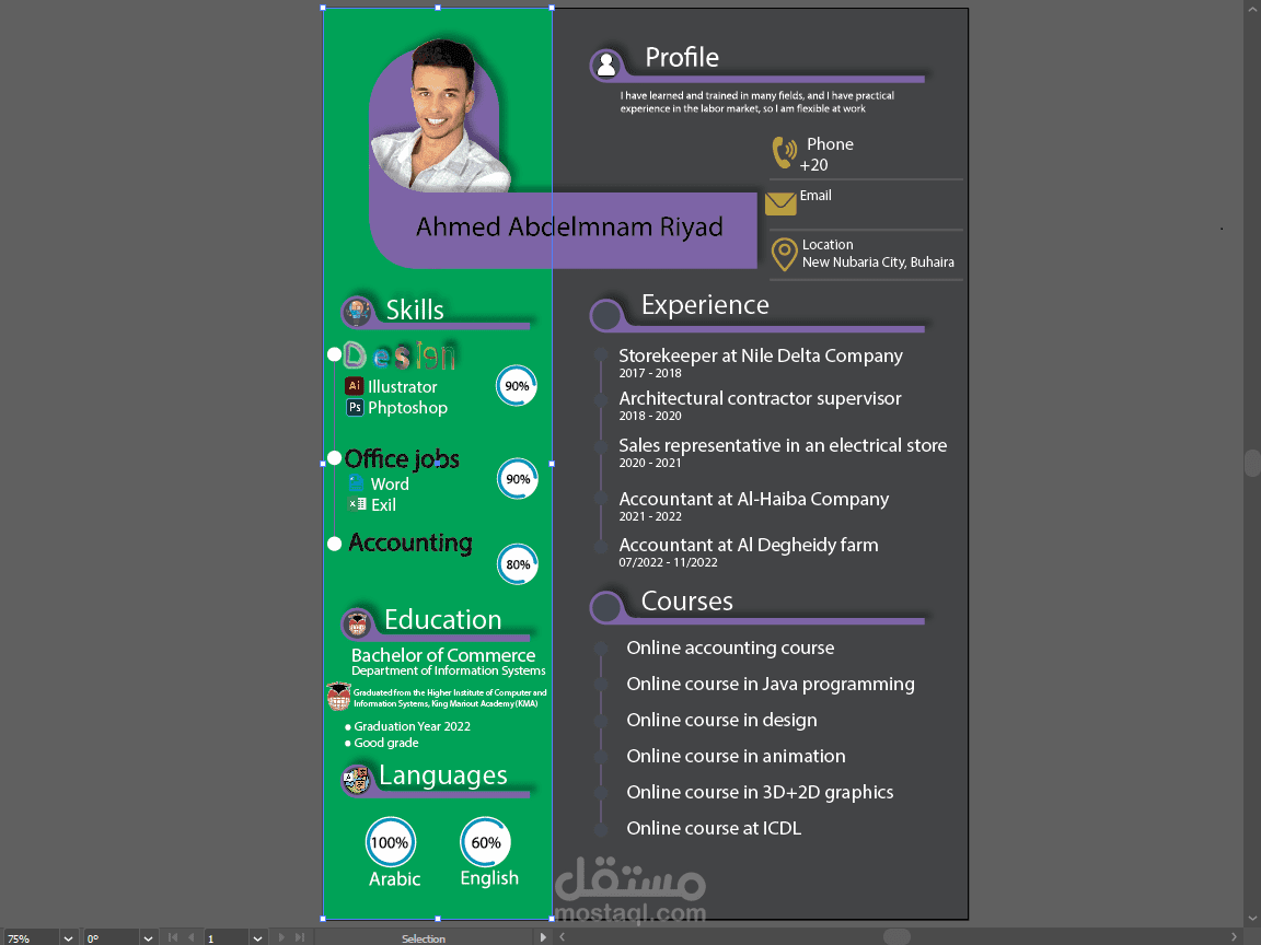 CV سيره ذاتيه احترافيه باللغه العربيه او الانجليزيه