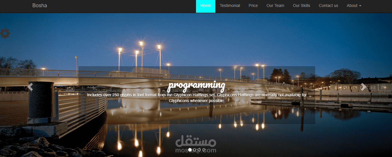 Meet our template website