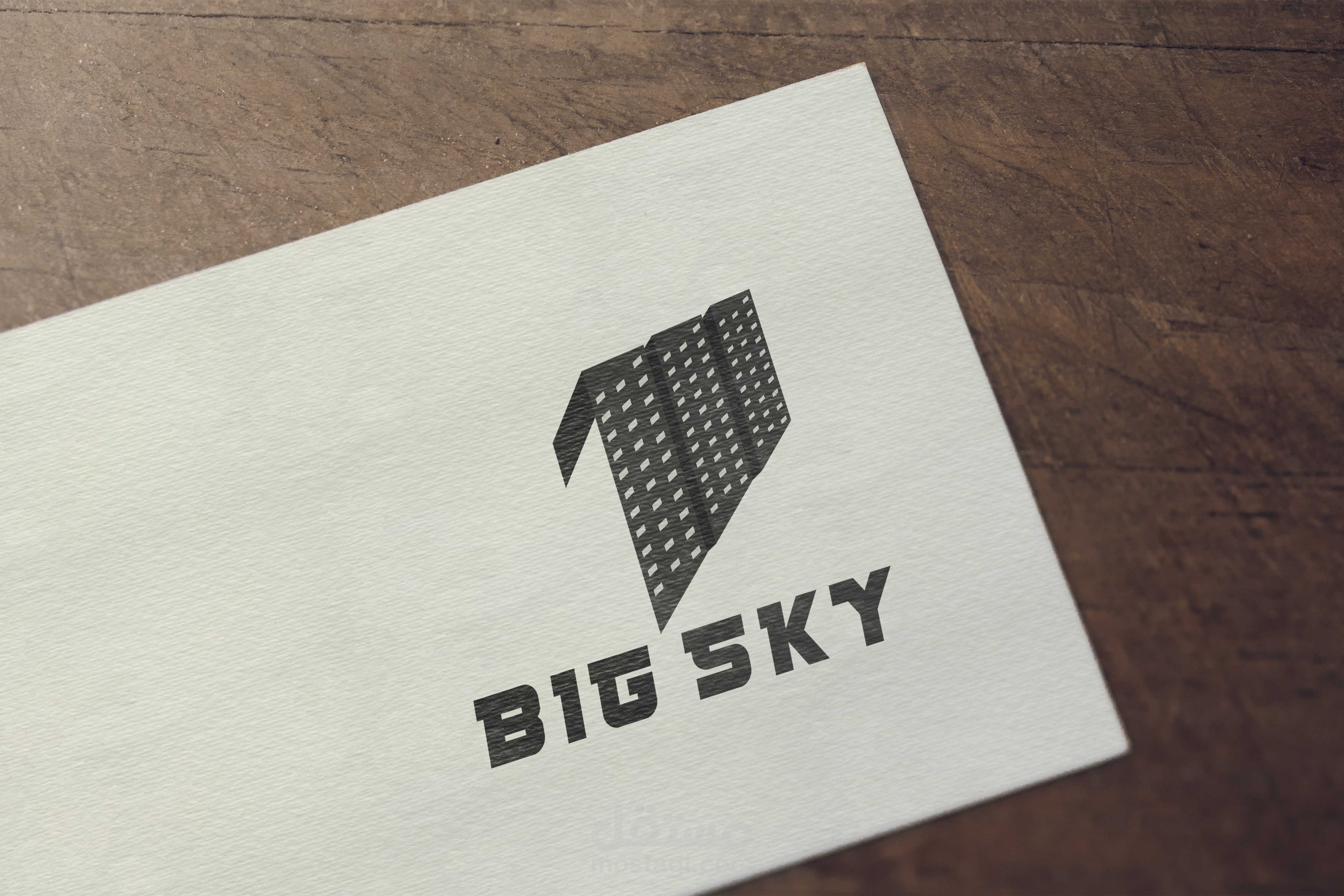لوجو لشركة  Big Sky