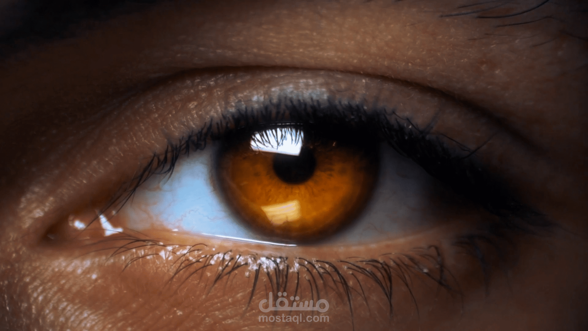 Samsung unofficial video