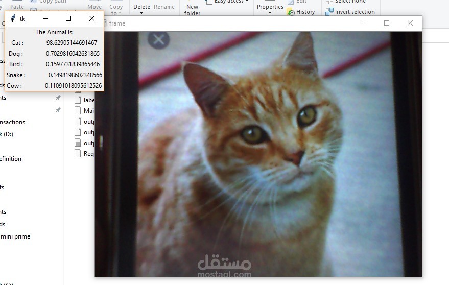Animal Classification Application