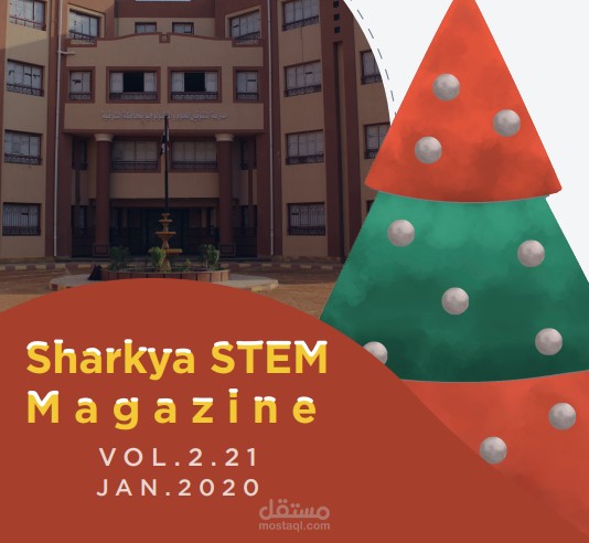 Copy Editing for Sharkya STEM School Magazine