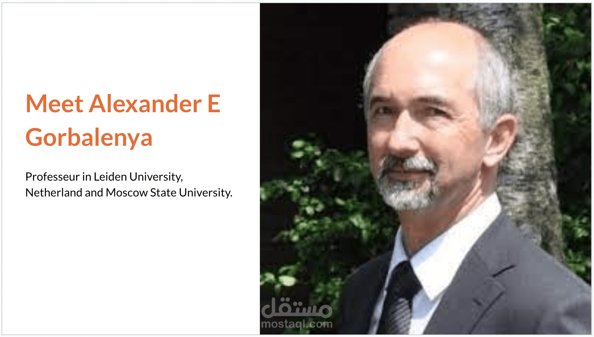 عرض بياني لمناقشة بحث علمي