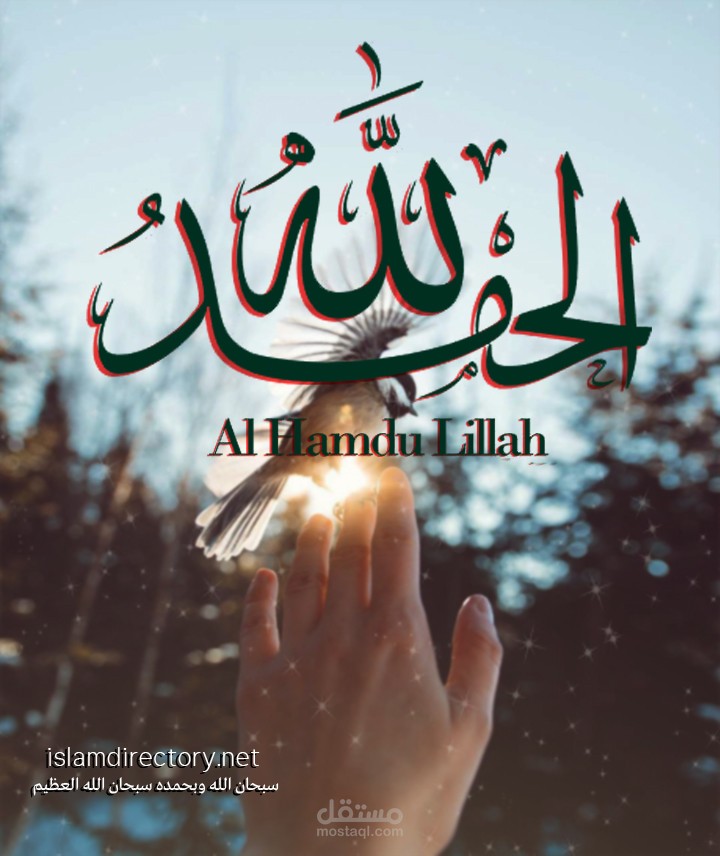 سوشيال ميديا