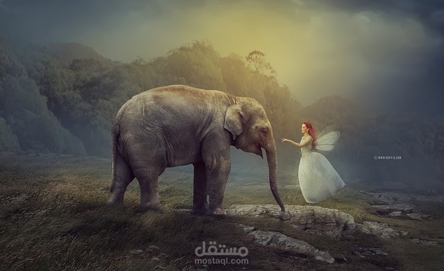 دمج صور