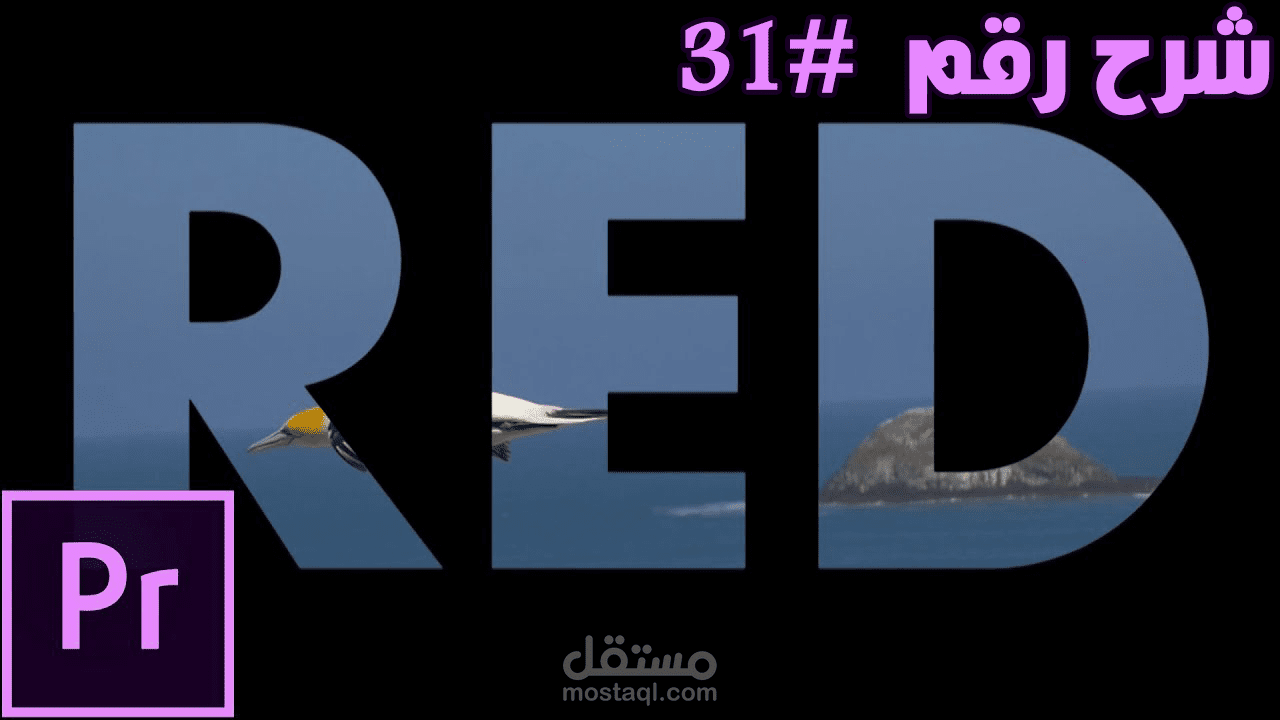 أضافه تأثير الفيديو خلف النص علي فيديوهاتك