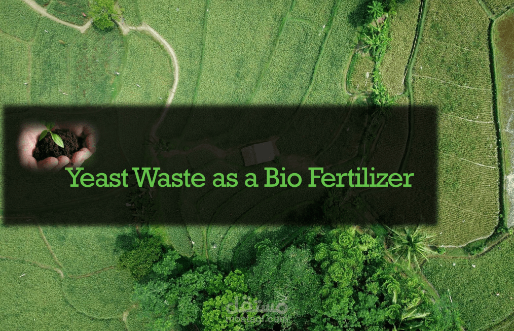 عرض تقديمي لخطة عمل Business Model