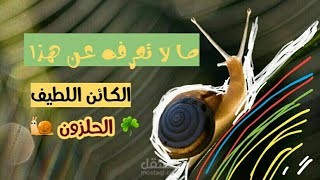 كما لو أنك تشاهد قناة هل تعلم!