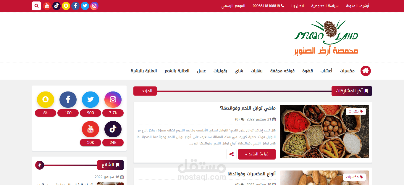 إنشاء مدونة مرتبطة بمتجر سلة
