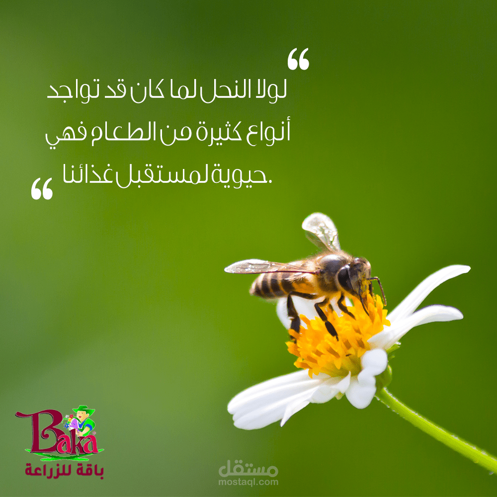 باقة للزراعة