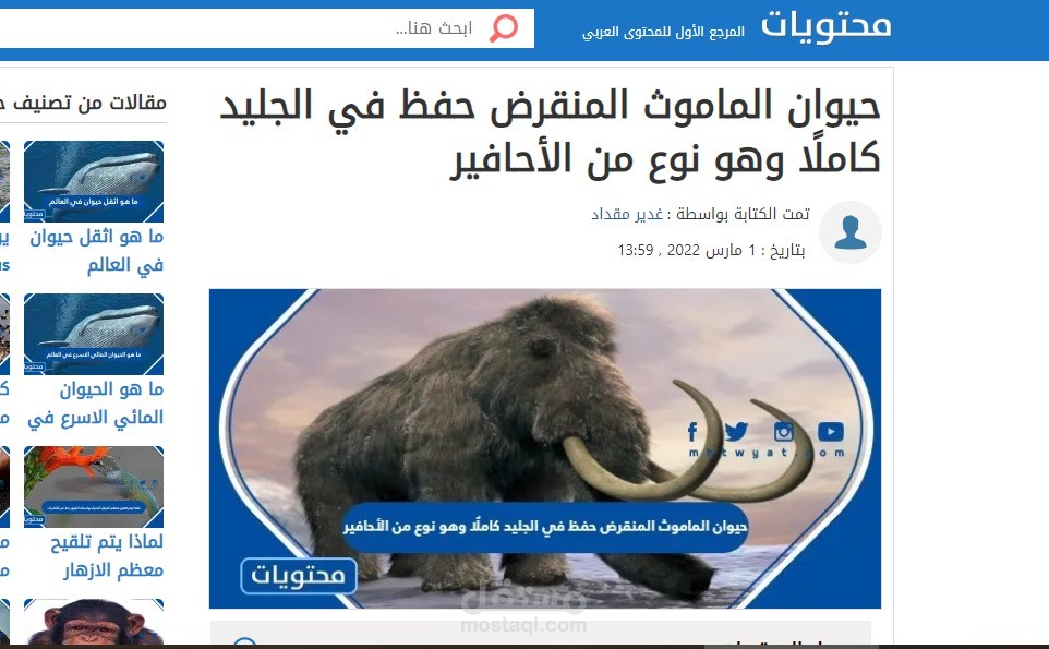 مقال عن حيوان الماموث المنقرض حفظ في الجليد كاملًا وهو نوع من الأحافير