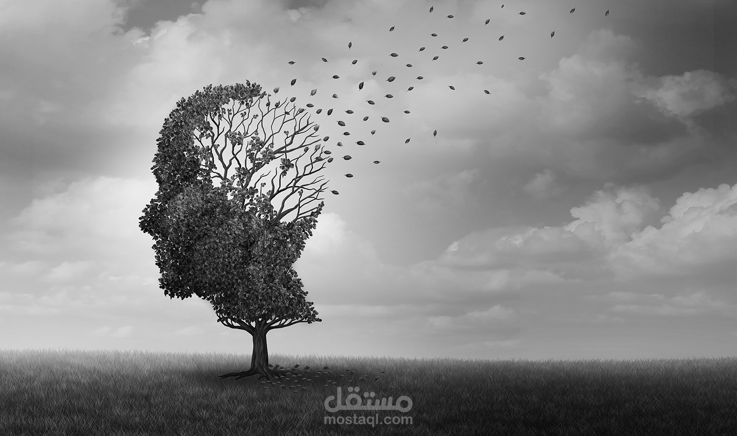 مقال طبي عن مرض الزهايمر