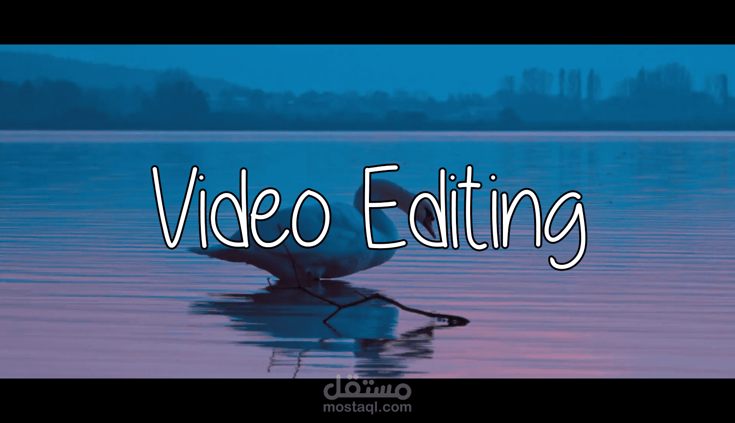 Video Sequence