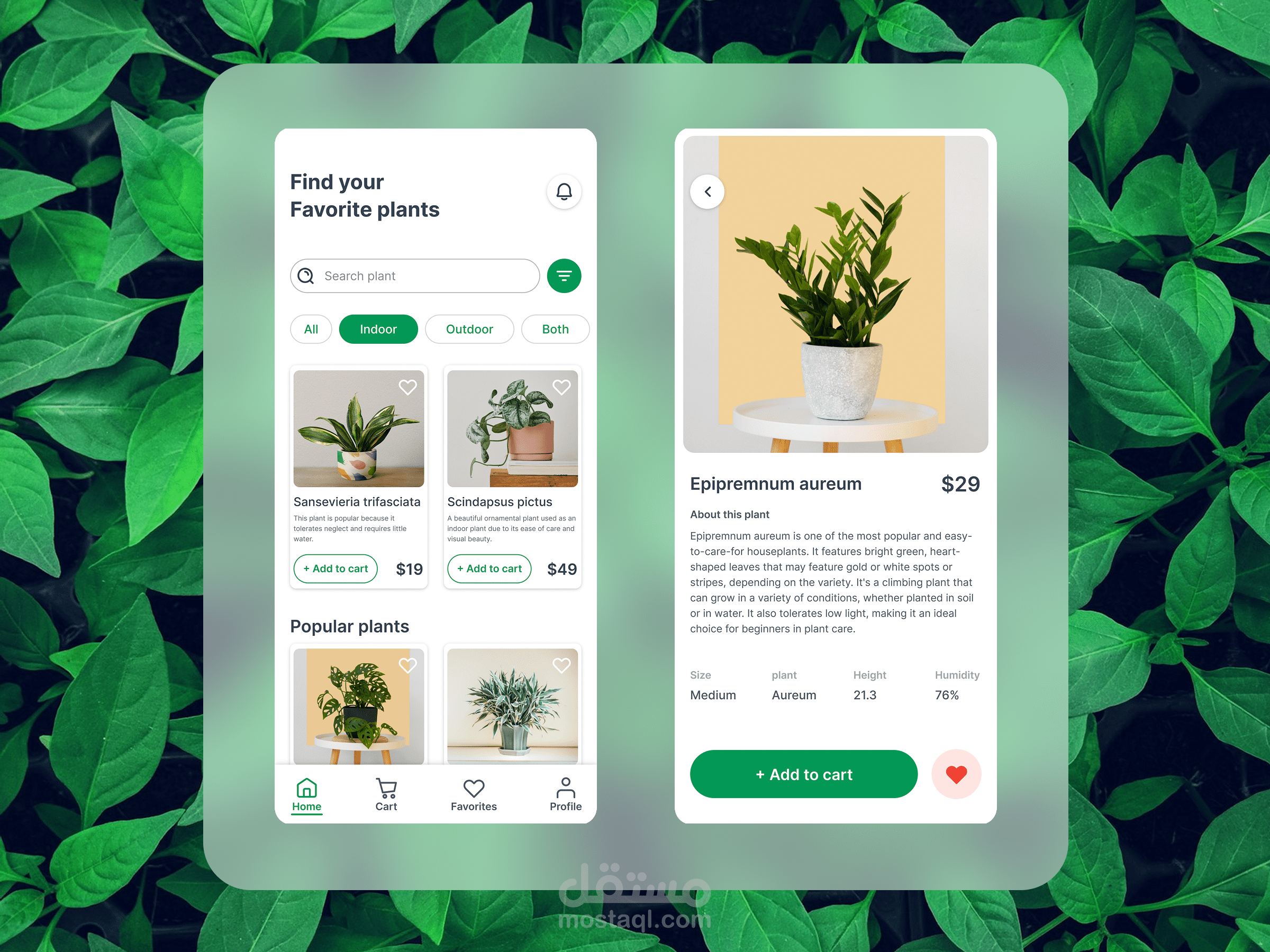 Leafly: Discovering Nature, Simplifying Plant Shopping