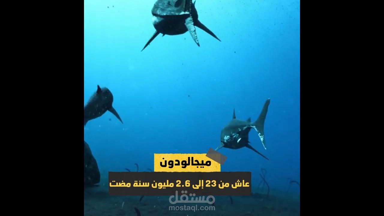 اعمالي شبيه بالعربي او Screen