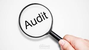 CX Quality Audit Portal