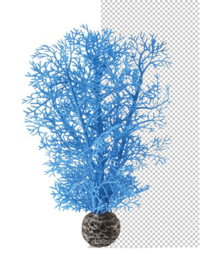 حذف الخلفيات