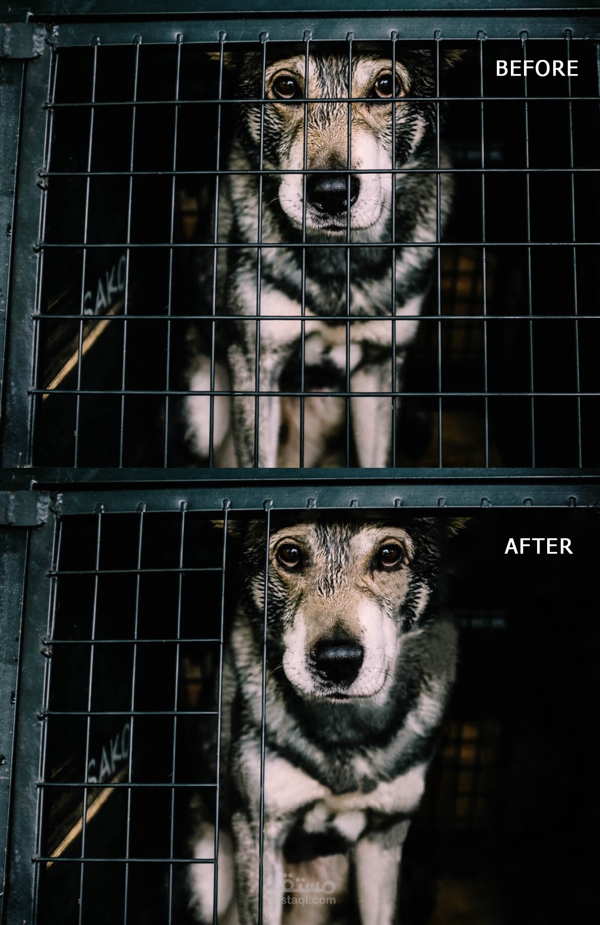 حذف السلك و تعديل الصور