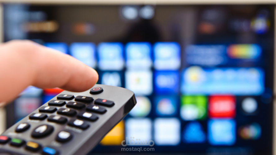 دراسه جدوى لقناه تليفزيونيه باللغه الانجليزيه ...