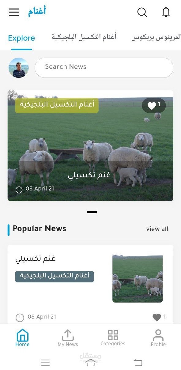 تطبيق و لوحة تحكم flutter لمنتدى أغنام