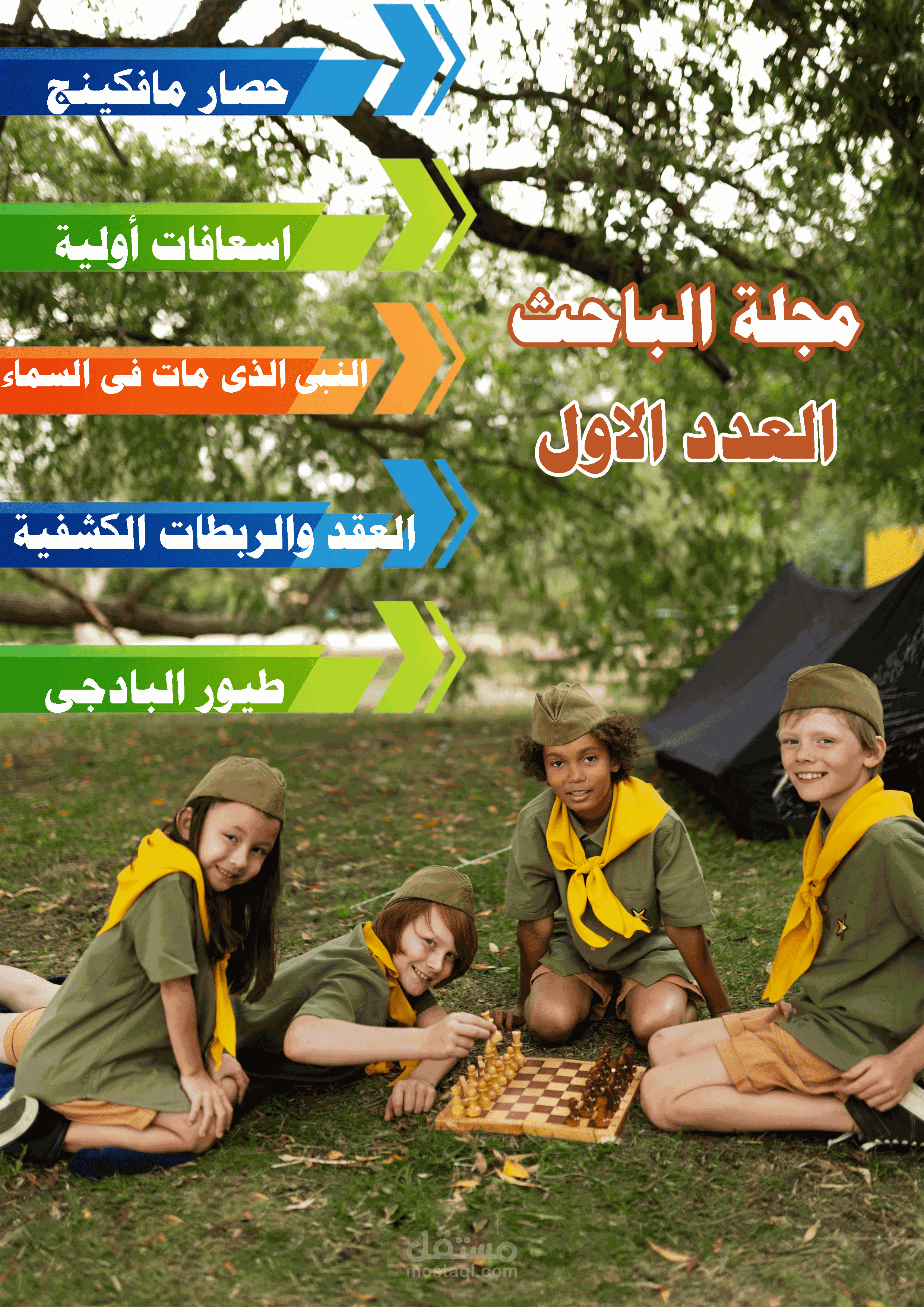 تأليف كتب خارجية ، مذكرات ، مجلات ، تدقيق لغوى