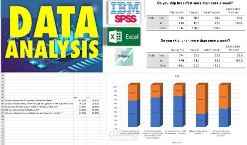 تحليل البيانات للأبحاث العلمية باستخدام برنامج SPSS و Excel وعرض النتائج باستخدام Word.