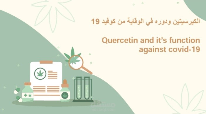الكيرستين ودوره في الوقاية من كوفيد ١٩