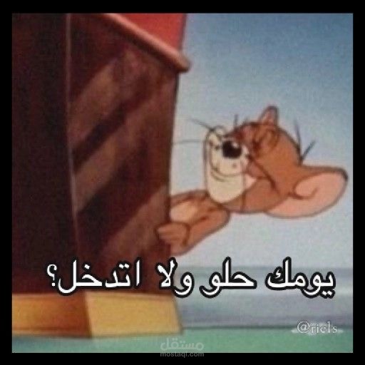 صائدة…