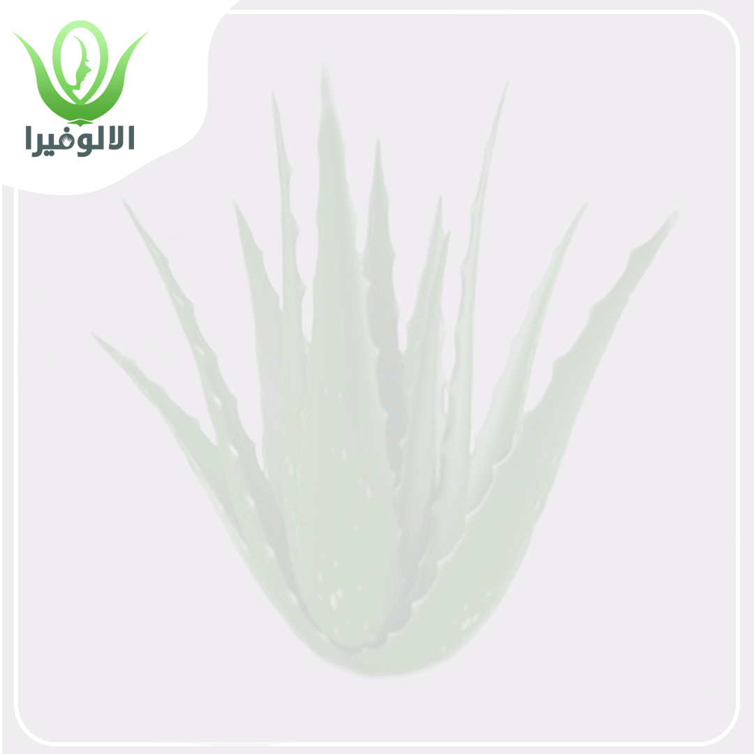 تصميم صورة متحركة