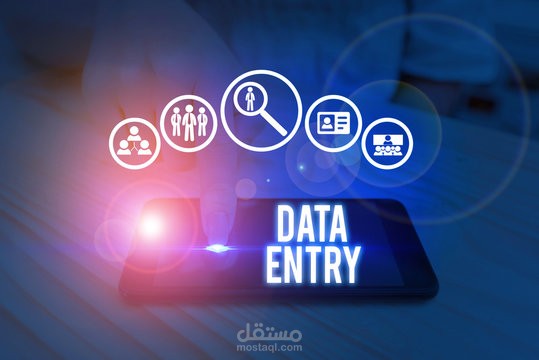 إدخال بيانات  "Data Entry "