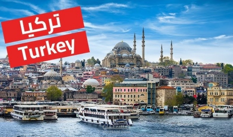 جمع داتا 1500 شركة عربية في تركيا من مجالات متنوعة وتنصيفها وفلترتها بملف اكسل