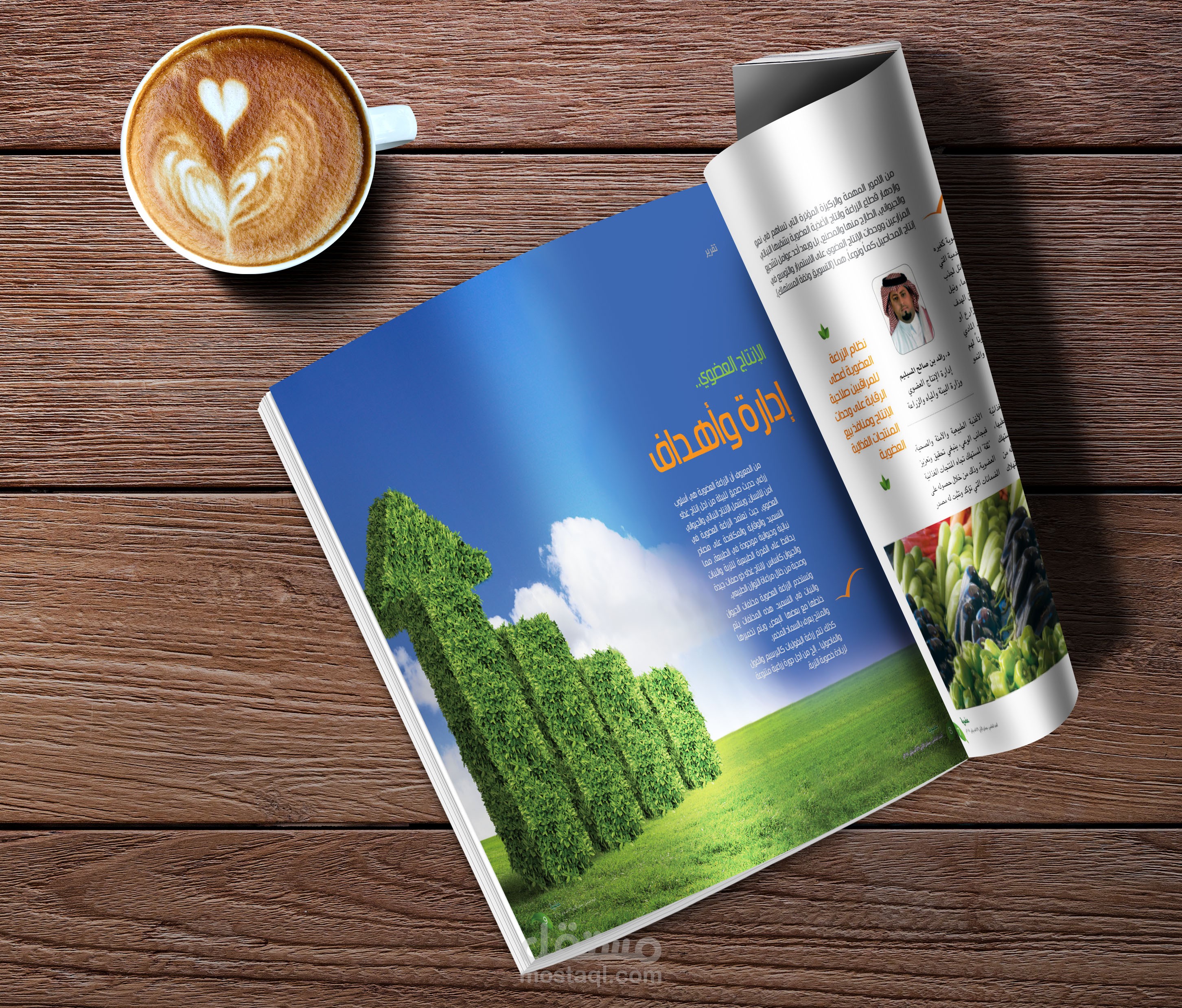 تصميم المجلات وإخراجها