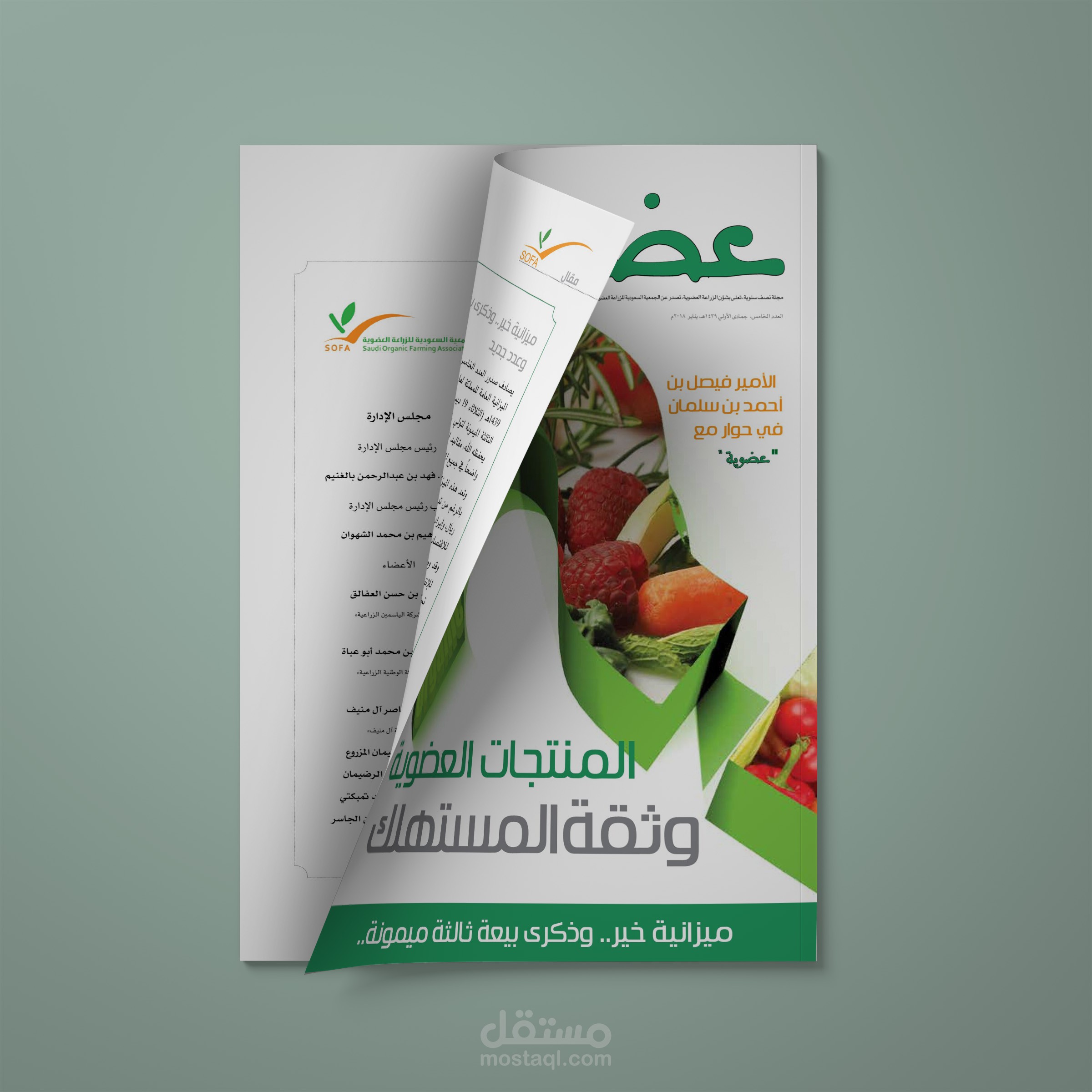 تحرير وتصميم وإخراج المجلات