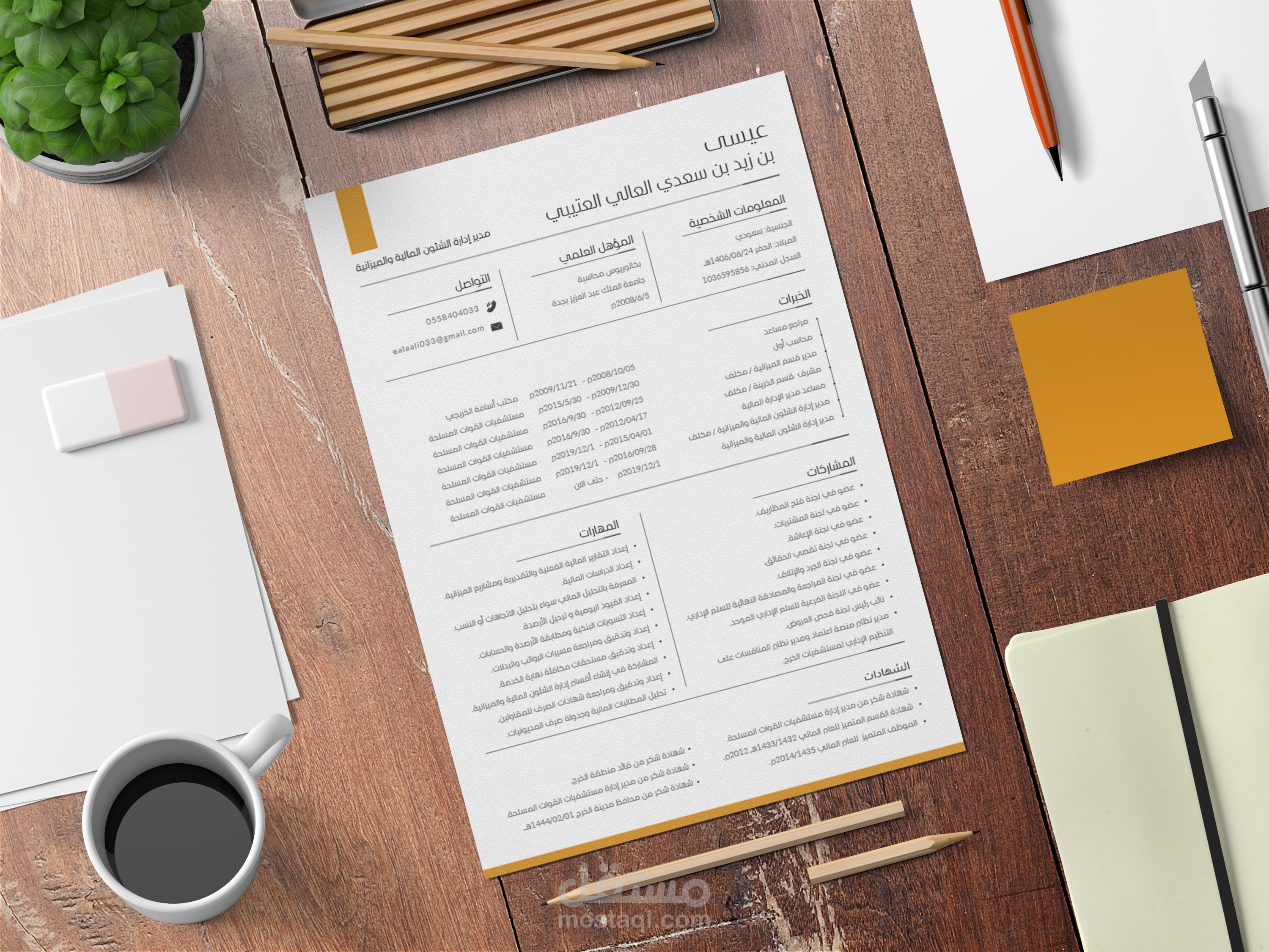 تصميم سيرة ذاتية احترافية CV