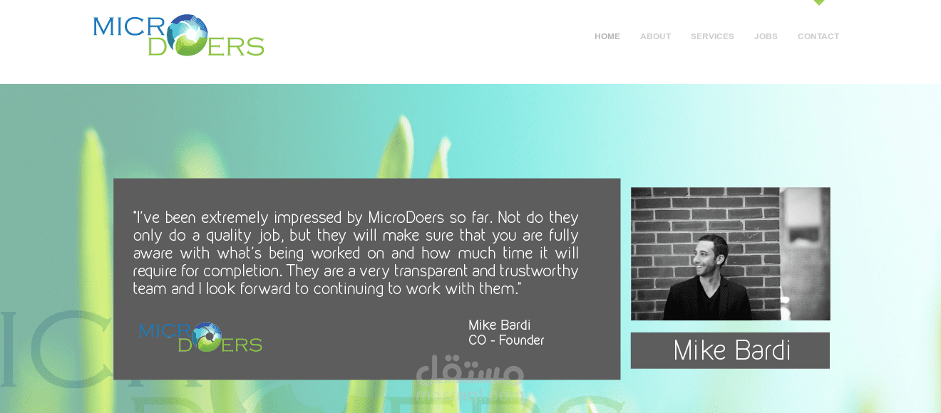 تطوير موقع شركات