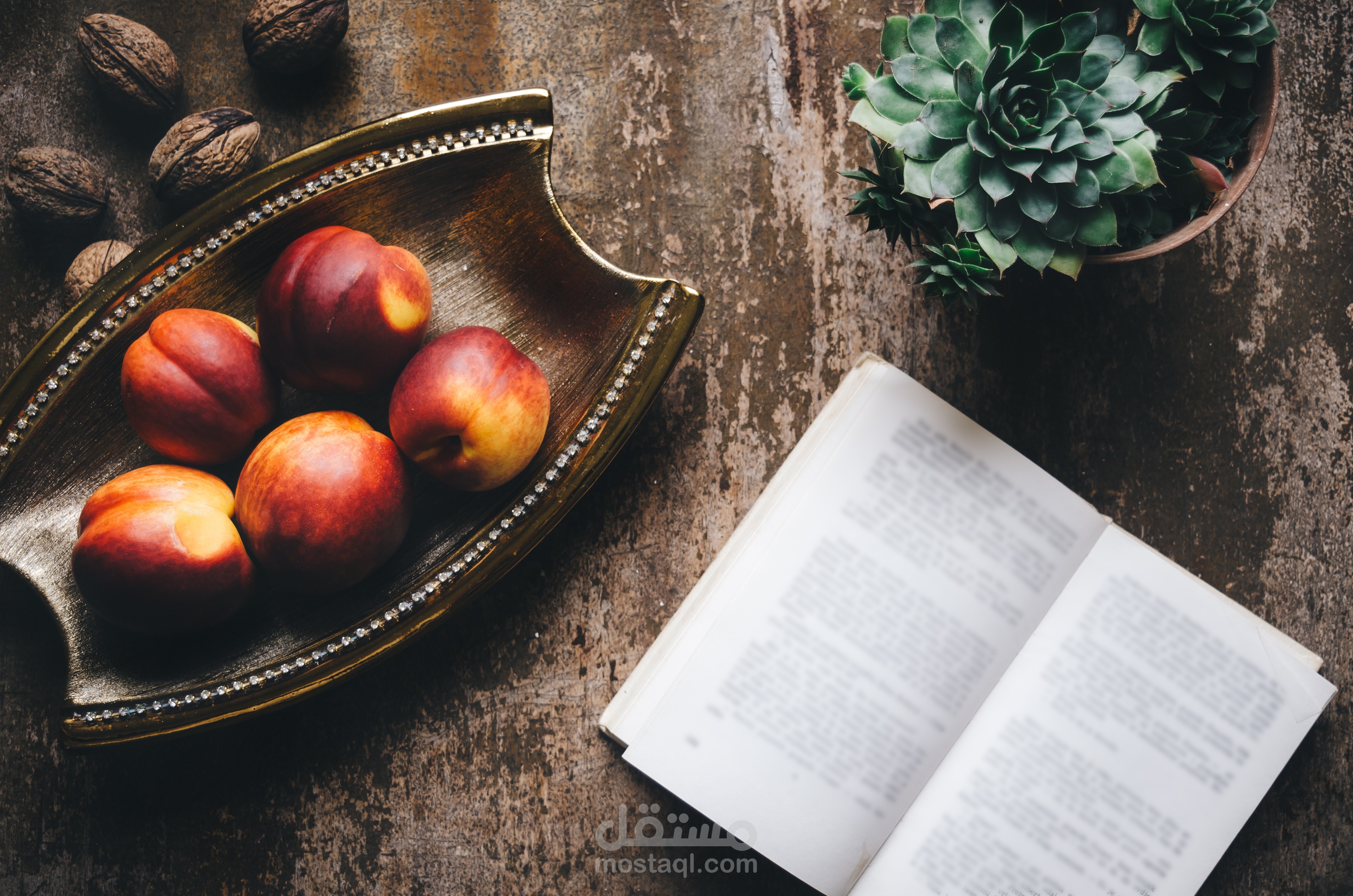 مكتمل ترجمة مادة علمية من الانجليزية إلى العربية (٩٦ صفحة)