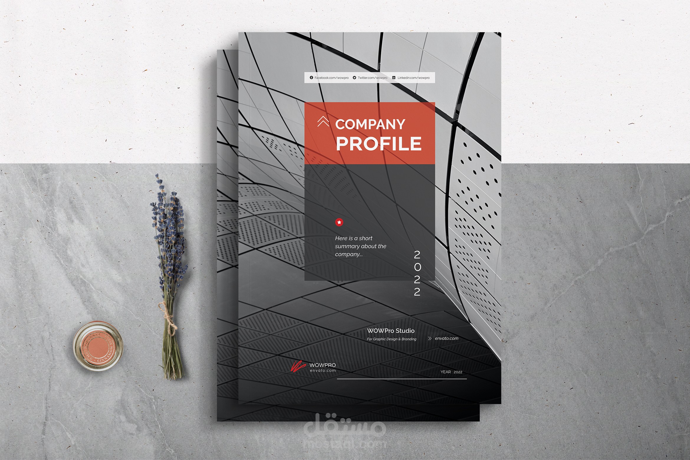 بروفايل شركة/Company Profile