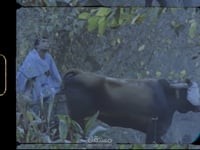 الـــهـــروب - احــمــد زكــي