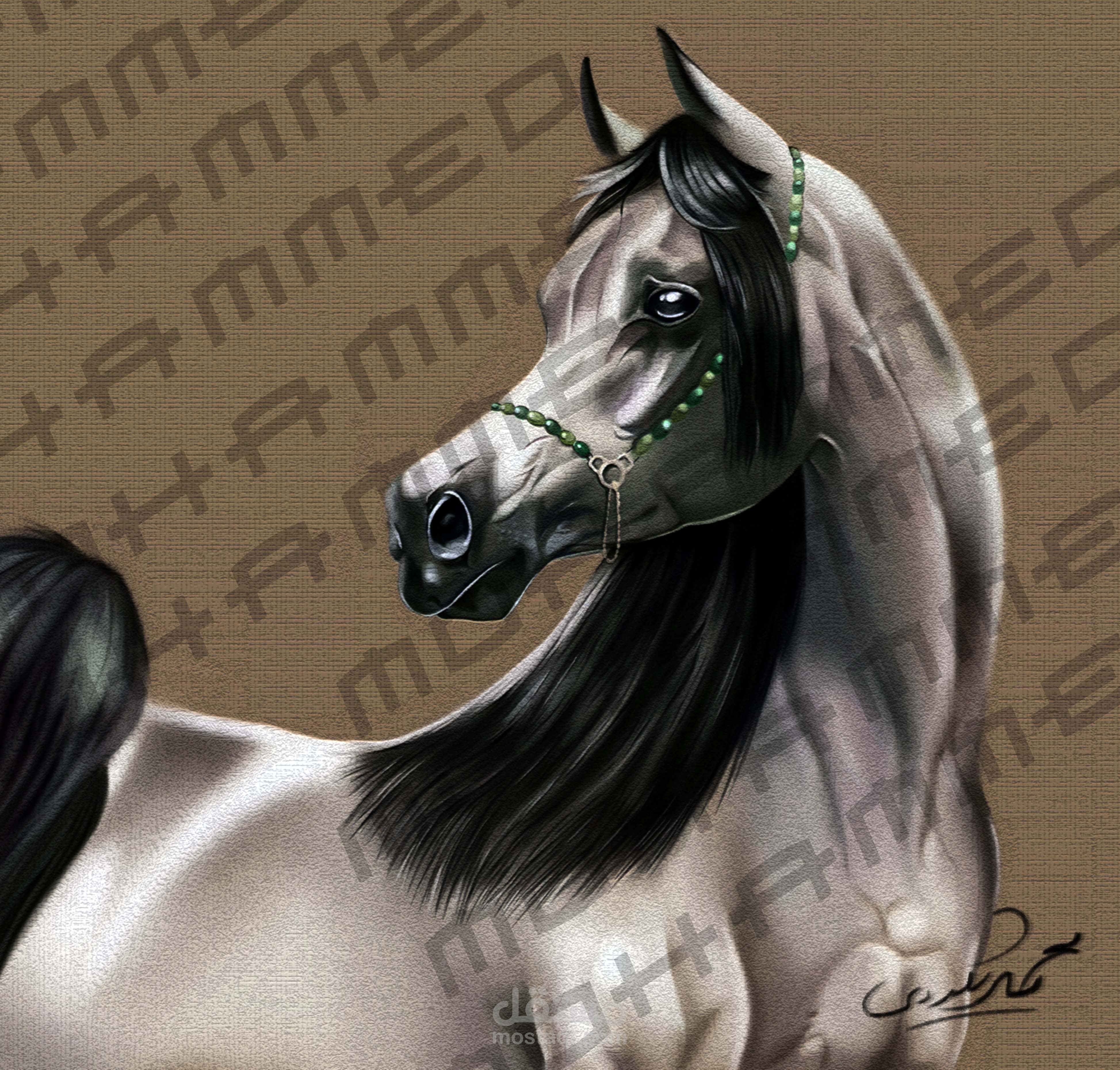 خيل رسم ديجيتال