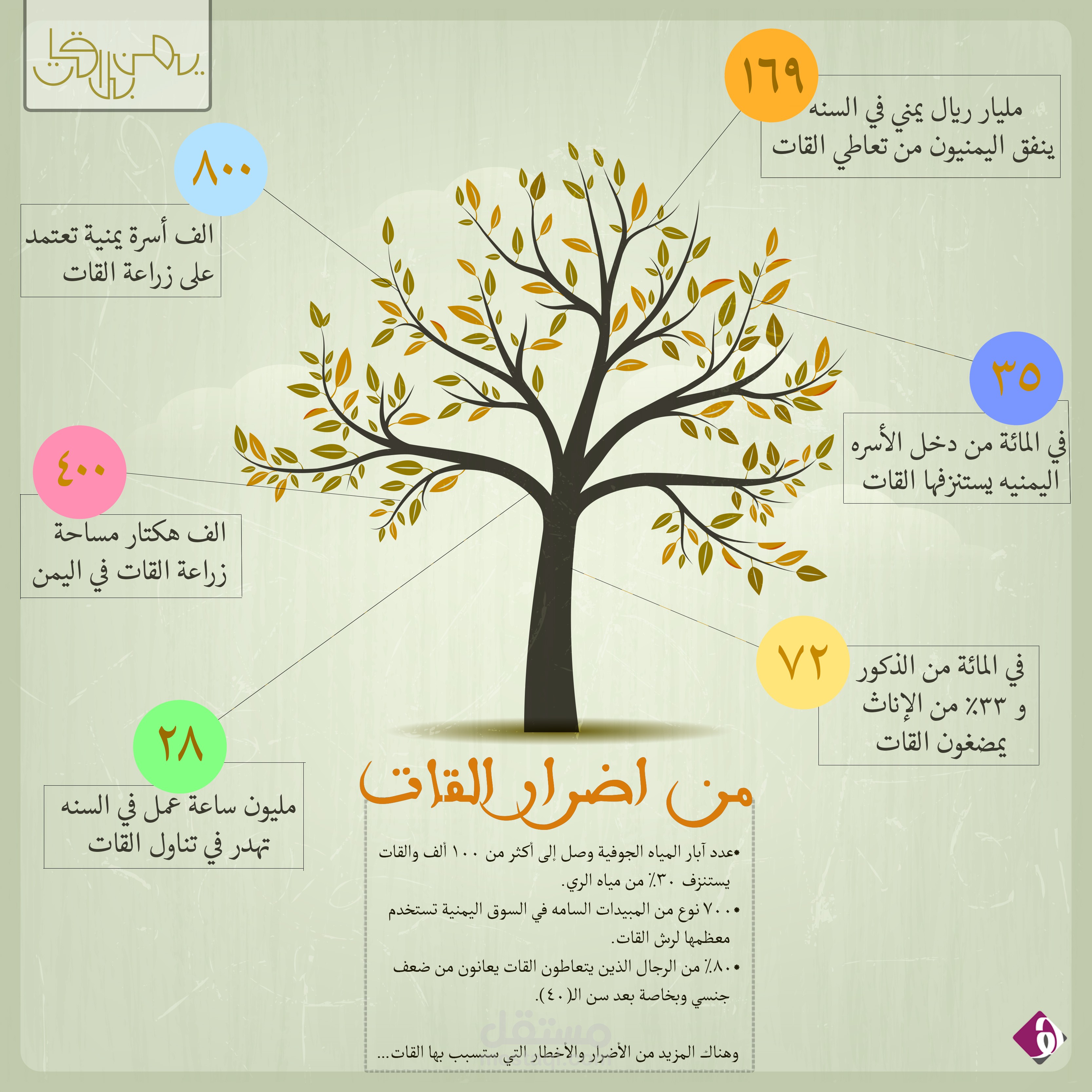 انفوجرافيك من أضرار القات