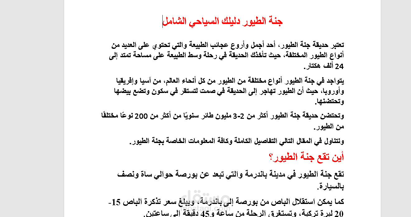 كاتب محتوى