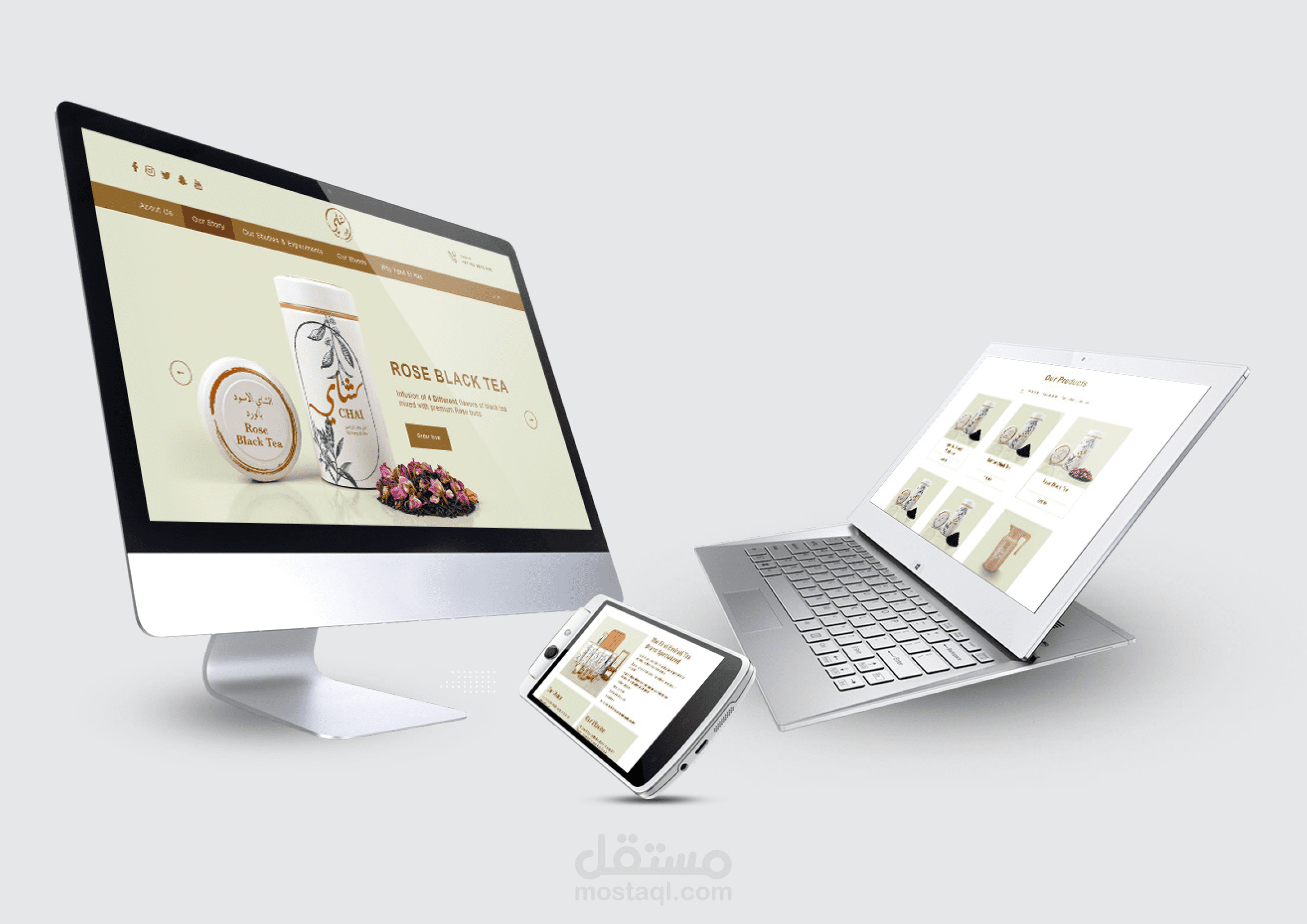 تصميم مواقع الانترنت