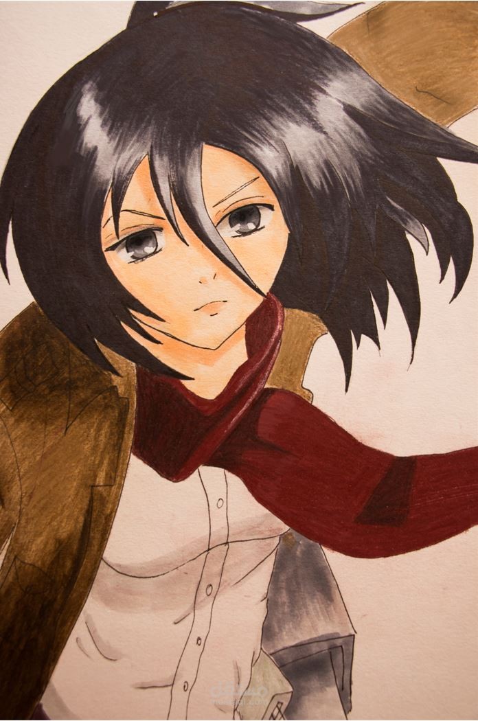 رسم ميكاسا من انمي attack on titan