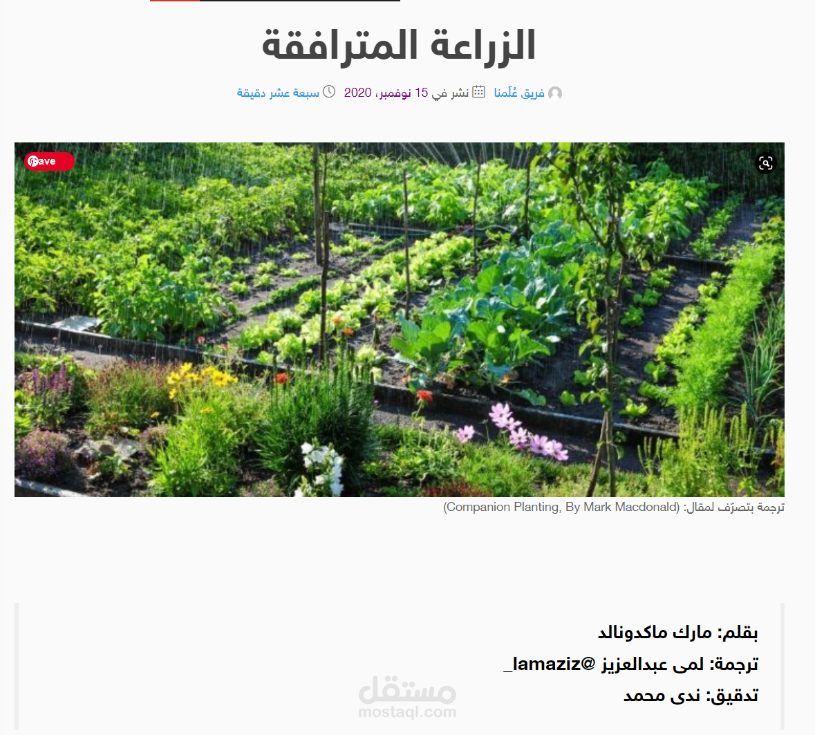 ترجمة مقال من اللغة الانجليزية إلى العربية